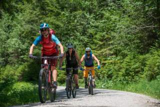 Drei Menschen biken auf Forststraße