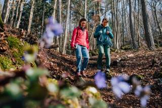 Zwei Frauen laufen mit Kletterausrüstung durch Wald