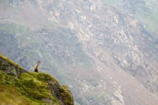 Emissionsbilanz 2023