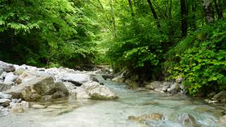 Der Rio Bianco ist einer der Quellflüsse des Natisone in den Julischen Voralpen.