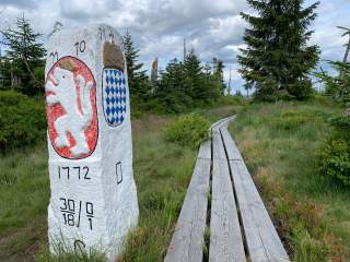 Grenzstein neben Bohlenweg im Wald