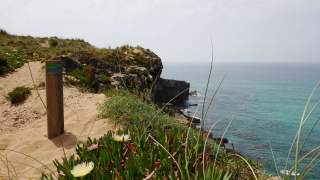 Der Fishermen's Trail ist durchgängig und stilecht markiert, Foto: Jonas Kassner