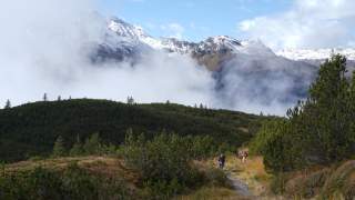 Weite Landschaftsaufnahme, man sieht viele Latschen den Boden bedecken, im Hintergrund verdecken die Wolken teils die schneebedeckten Berge.