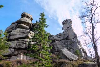Lebensraum für Berg-Spezialisten: Steinformationen wie der Mariafels ragen immer wieder aus dem Wald empor. Foto: Nadine Ormo 