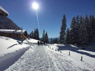 Auch beim Winterwandern sollten Wald-Wild-Schongebiete beachtet werden. Foto: DAV