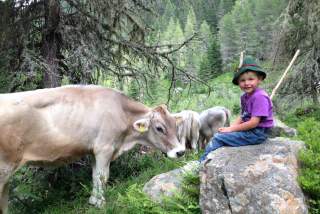 Kind sitzt auf Felsen, außen herum stehen Kühe.