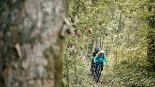 Zwei Menschen auf Mountainbikes auf Trail im Wald