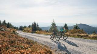 Zwei Menschen fahren auf Mountainbikes Forststraße hoch.