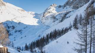 Verschneite Berglandschaft mit spärlich bewaldeten Hängen und mehreren Skifahrern auf einer Tiefschneeabfahrt unter klarem blauem Himmel.