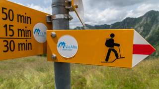 Gelbe Wanderschilder der Via Vallemagia