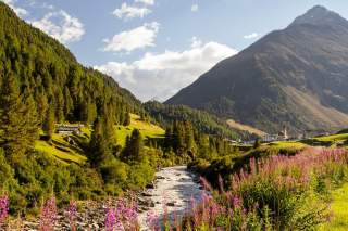 Noch zeigt sich die Venter Ache als intakte Flusslandschaft. Durch die Ableitung würde sie unwiederbringlich zerstört. Foto: Sebastian Frölich/WWF Österreich