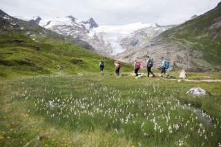 Fünf Menschen wandern in alpiner Landschaft mit Gletscher im Hintergrund.