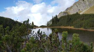 Im Vordergrund Latschenkiefern, im Hintergrund ein kleiner Moorsee, der auf einer Anhöhe zwischen den Bergen liegt.
