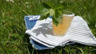 Glas mit Kräuterlimonade auf Wiese