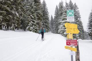 Langläuferin in verschneitem Wald
