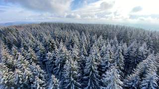 Blick über verschneiten Wald voller Fichten