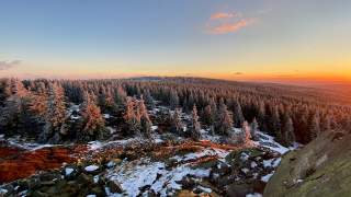 Blick über verschneiten Tannenwald bei untergehender Sonne