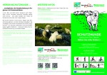 Broschüre Herdenschutzhunde - Verhaltenstipps